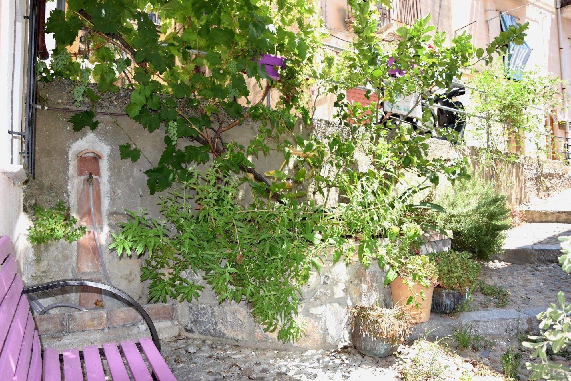 La Casa Del Geko Bed and Breakfast Cefalù Eksteriør billede